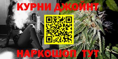 индика Ставрополь
