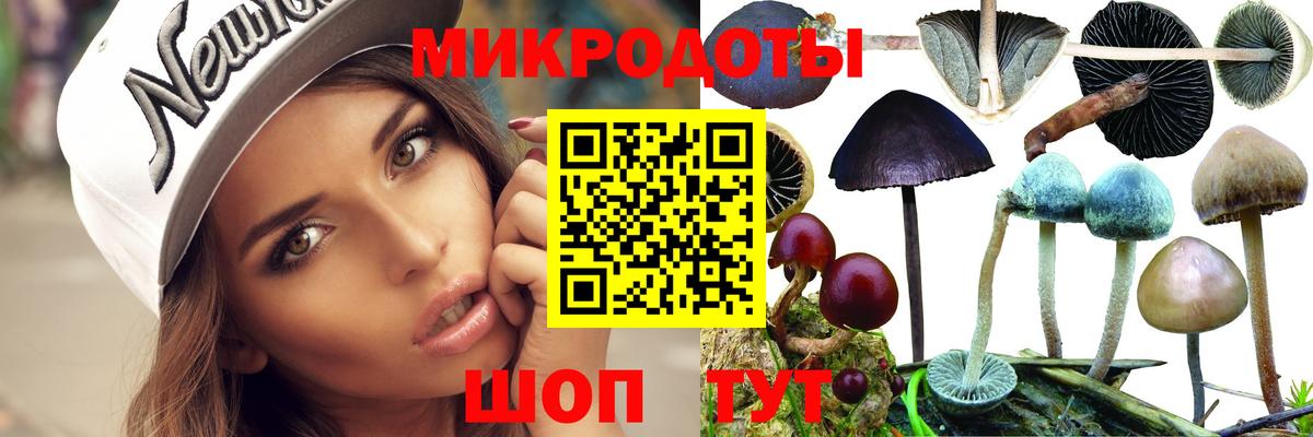 Галлюциногенные грибы Psilocybe  Вход с VPN  Рузаевка 